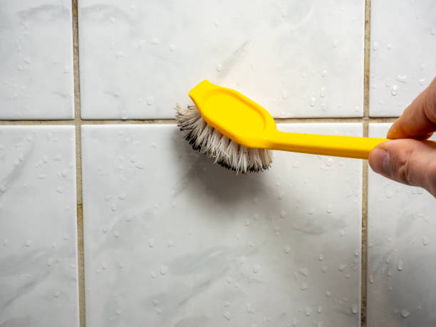 Best Mold Removal Near Me  in Rden, WA