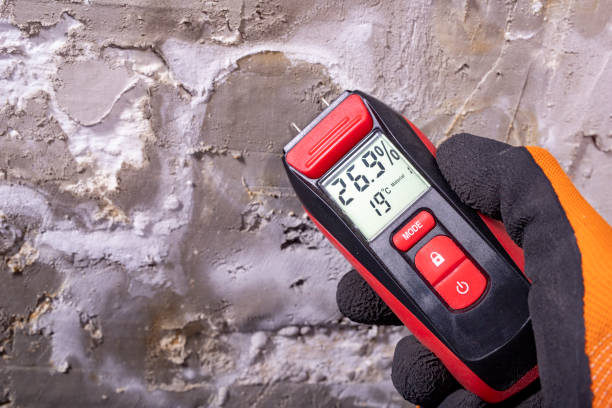 Best Office Mold Removal Services  in Rden, WA