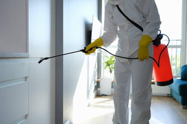 Best Mold Cleaning Services  in Rden, WA