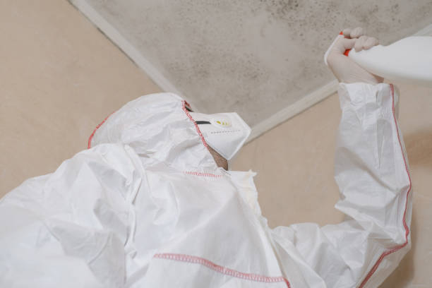 Best Water Damage Restoration  in Rden, WA